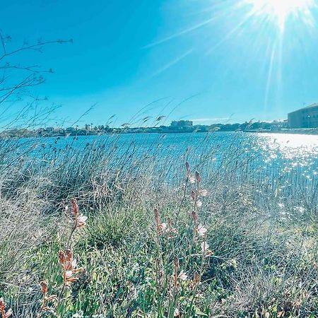 La Casita ,Appartement Face A L'Etang Le Barcarès Eksteriør billede