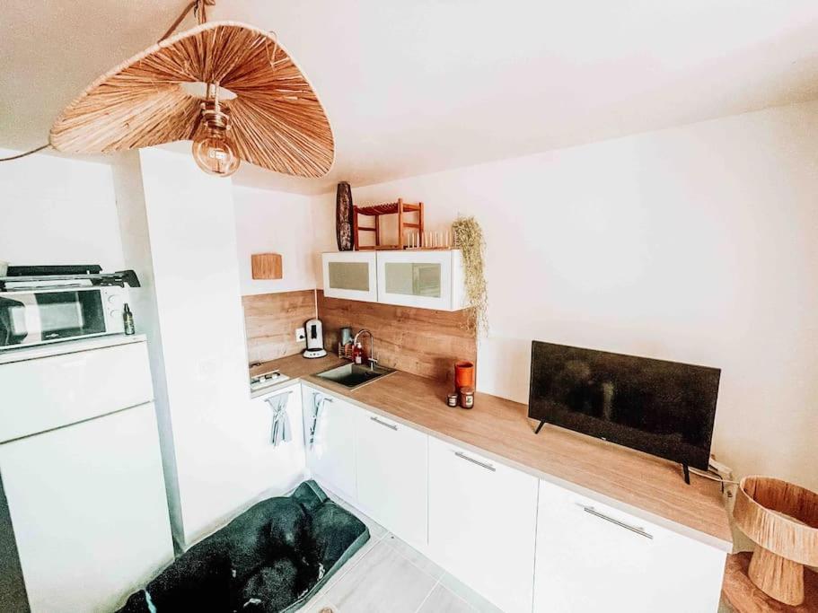 La Casita ,Appartement Face A L'Etang Le Barcarès Eksteriør billede
