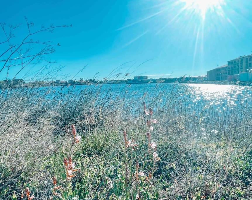 La Casita ,Appartement Face A L'Etang Le Barcarès Eksteriør billede